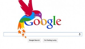 hummingbird-colibri-google